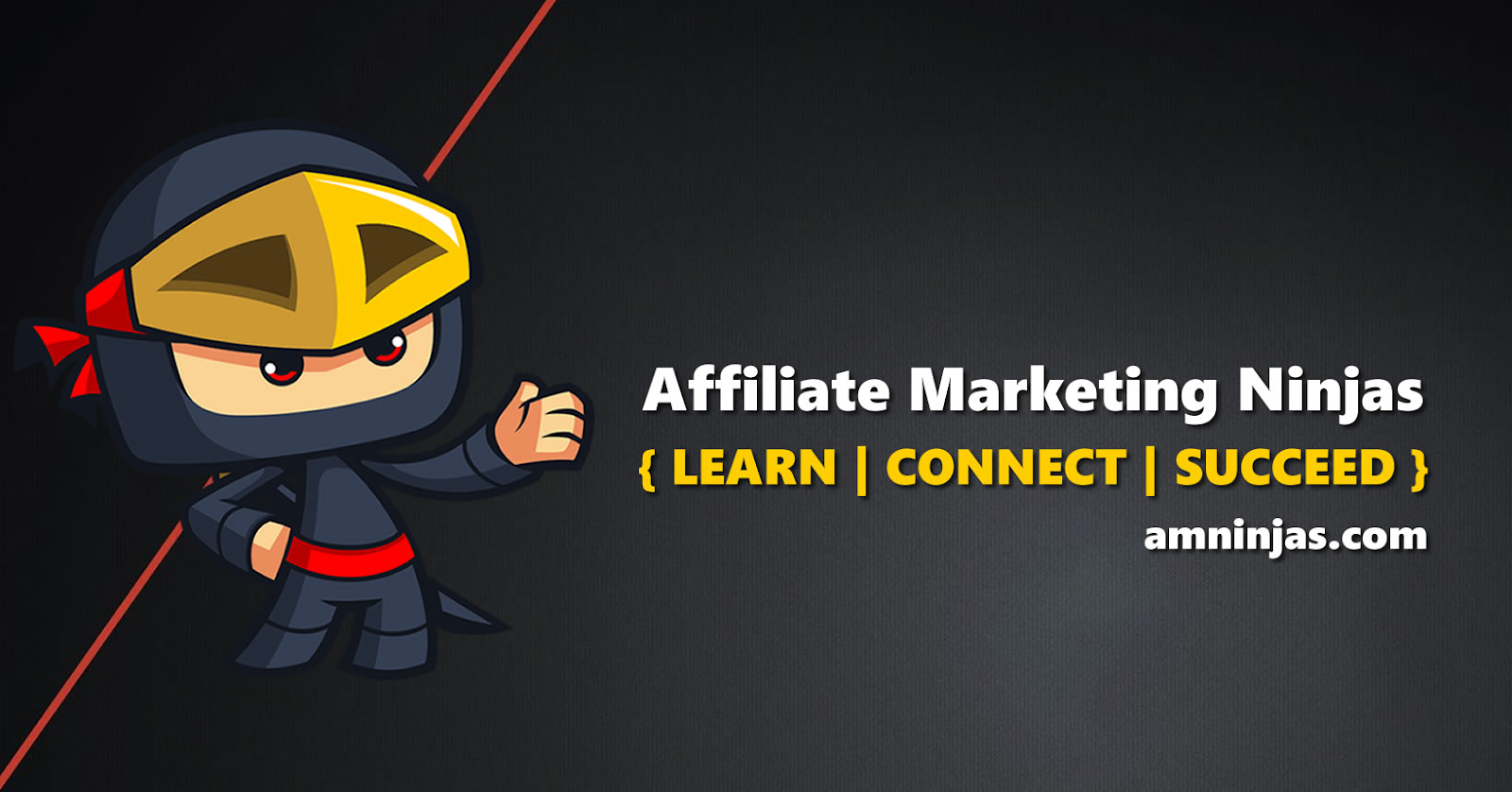 Affiliate Marketing Ninjas