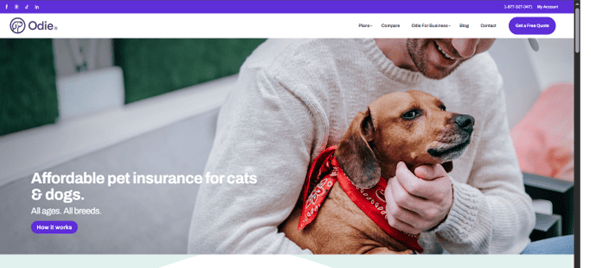 Odie Pet Insurance Odie Pet Insurance
